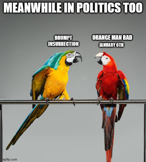 Repeating the same old thing, nothing new | MEANWHILE IN POLITICS TOO; ORANGE MAN BAD; DRUMPT
INSURRECTION; JANUARY 6TH | image tagged in stupid liberals | made w/ Imgflip meme maker
