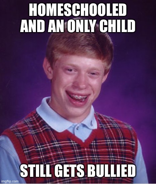 Bad Luck Brian Meme | HOMESCHOOLED AND AN ONLY CHILD STILL GETS BULLIED | image tagged in memes,bad luck brian | made w/ Imgflip meme maker