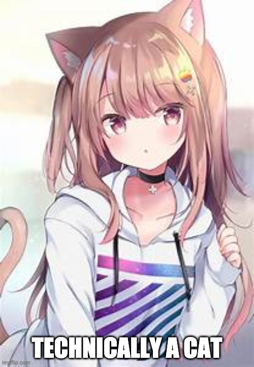 Cat girls are technically furries? - Imgflip