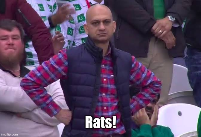 Disappointed Man | Rats! | image tagged in disappointed man | made w/ Imgflip meme maker
