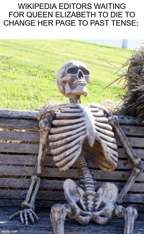 long live the queen |  WIKIPEDIA EDITORS WAITING FOR QUEEN ELIZABETH TO DIE TO CHANGE HER PAGE TO PAST TENSE: | image tagged in memes,waiting skeleton | made w/ Imgflip meme maker