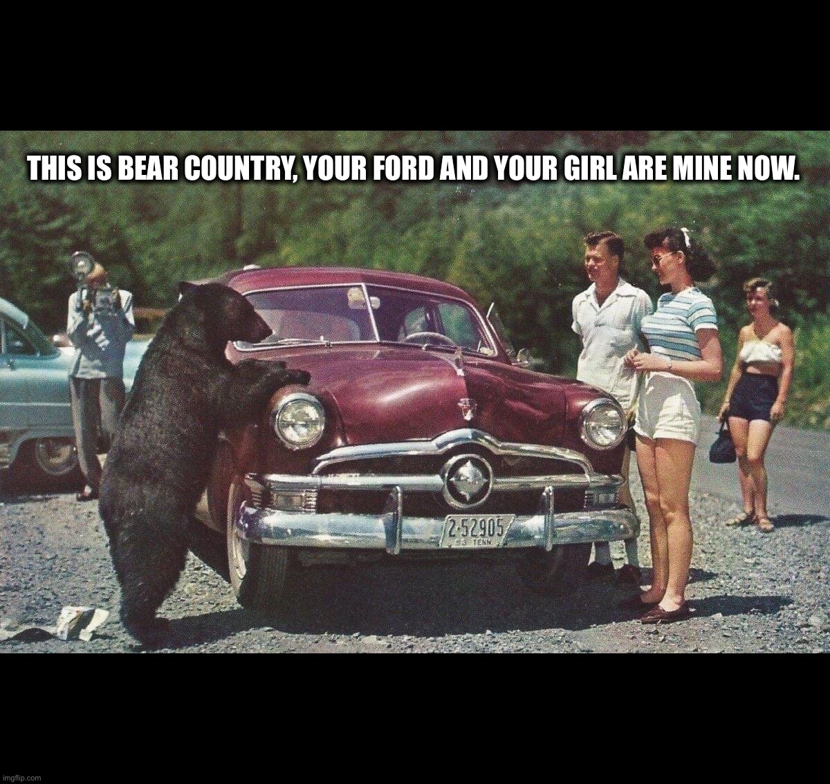 THIS IS BEAR COUNTRY, YOUR FORD AND YOUR GIRL ARE MINE NOW. | image tagged in bear,car memes,funny,funny animals,nature | made w/ Imgflip meme maker