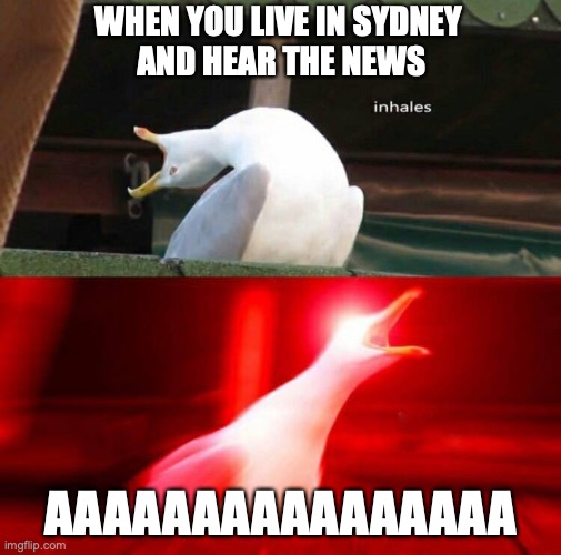 Corona seagull | WHEN YOU LIVE IN SYDNEY 
AND HEAR THE NEWS; AAAAAAAAAAAAAAAA | image tagged in inhaling seagull,coronavirus,seagull,scream | made w/ Imgflip meme maker