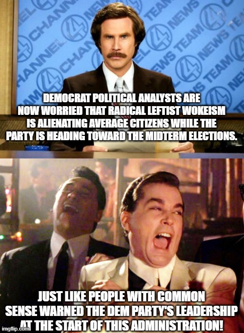 Yep . . . just like conservatives SAID would happen. | DEMOCRAT POLITICAL ANALYSTS ARE NOW WORRIED THAT RADICAL LEFTIST WOKEISM IS ALIENATING AVERAGE CITIZENS WHILE THE PARTY IS HEADING TOWARD THE MIDTERM ELECTIONS. JUST LIKE PEOPLE WITH COMMON SENSE WARNED THE DEM PARTY'S LEADERSHIP AT THE START OF THIS ADMINISTRATION! | image tagged in comon sense versus wokeism,told you so | made w/ Imgflip meme maker