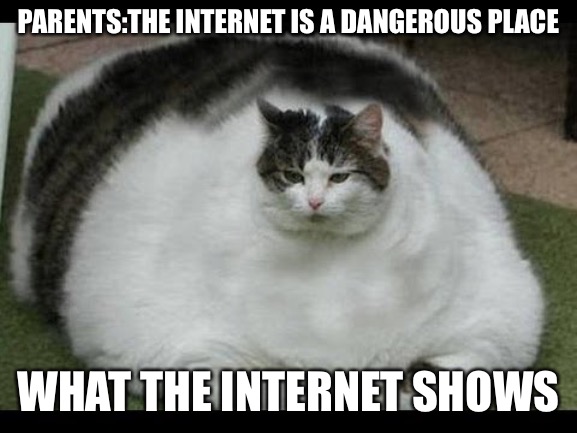 Fat Cat | PARENTS:THE INTERNET IS A DANGEROUS PLACE WHAT THE INTERNET SHOWS | image tagged in fat cat | made w/ Imgflip meme maker