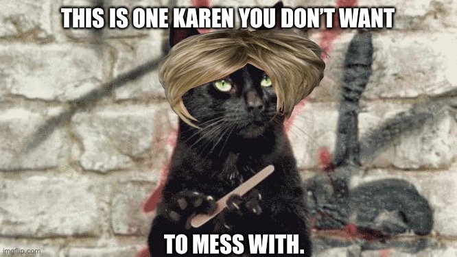 cat filing nails |  THIS IS ONE KAREN YOU DON’T WANT; TO MESS WITH. | image tagged in cat filing nails | made w/ Imgflip meme maker