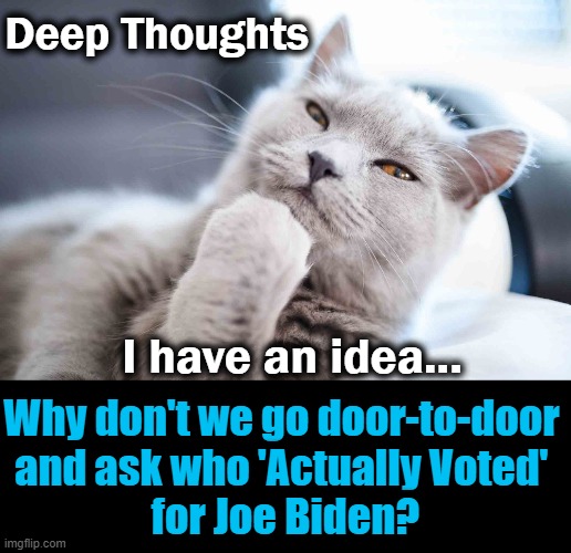 Instead of Biden’s “door-to-door” vaccine plan.... | Deep Thoughts; I have an idea... Why don't we go door-to-door 
and ask who 'Actually Voted' 
for Joe Biden? | image tagged in political meme,joe biden,covid vaccine,lol,best idea | made w/ Imgflip meme maker