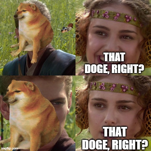 Cheems is old | THAT DOGE, RIGHT? THAT DOGE, RIGHT? | image tagged in cheems | made w/ Imgflip meme maker