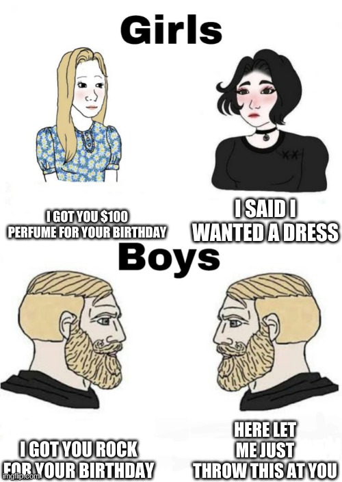 Girls vs Boys | I GOT YOU $100 PERFUME FOR YOUR BIRTHDAY; I SAID I WANTED A DRESS; HERE LET ME JUST THROW THIS AT YOU; I GOT YOU ROCK FOR YOUR BIRTHDAY | image tagged in girls vs boys,funny,memes,fun | made w/ Imgflip meme maker