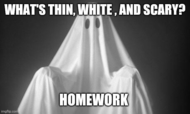Ghost | WHAT'S THIN, WHITE , AND SCARY? HOMEWORK | image tagged in ghost | made w/ Imgflip meme maker