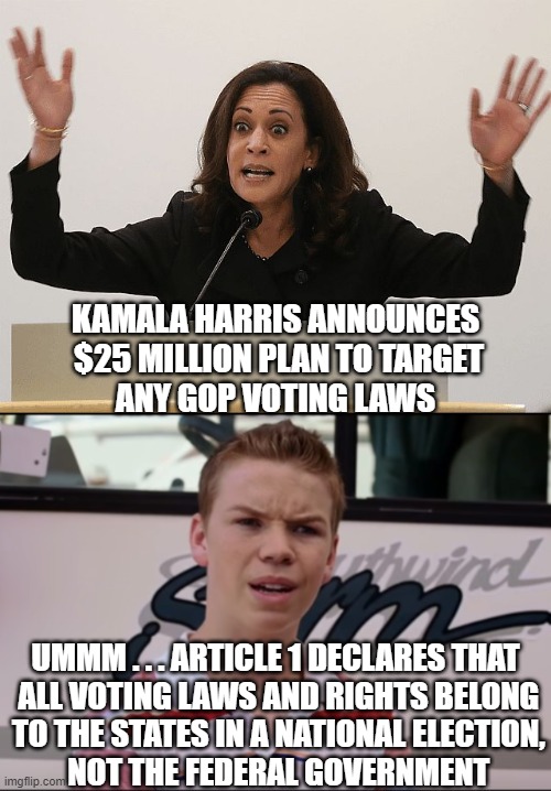 Read Article 1, Kamala | KAMALA HARRIS ANNOUNCES
 $25 MILLION PLAN TO TARGET
ANY GOP VOTING LAWS; UMMM . . . ARTICLE 1 DECLARES THAT
 ALL VOTING LAWS AND RIGHTS BELONG
 TO THE STATES IN A NATIONAL ELECTION,
 NOT THE FEDERAL GOVERNMENT | image tagged in you guys are getting paid,kamala harris,vote 2020,biden,liberals,democrats | made w/ Imgflip meme maker