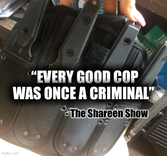 Cops | “EVERY GOOD COP WAS ONCE A CRIMINAL”; - The Shareen Show | image tagged in justice,law,judge,traffic,memes | made w/ Imgflip meme maker