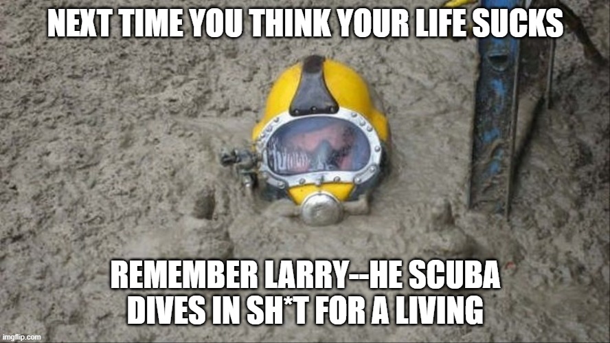 Larry | NEXT TIME YOU THINK YOUR LIFE SUCKS; REMEMBER LARRY--HE SCUBA DIVES IN SH*T FOR A LIVING | image tagged in life sucks,shit,yuck,nasty | made w/ Imgflip meme maker