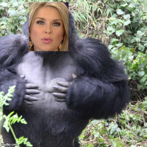 abc15 arizona is a dumb ape | image tagged in google | made w/ Imgflip meme maker
