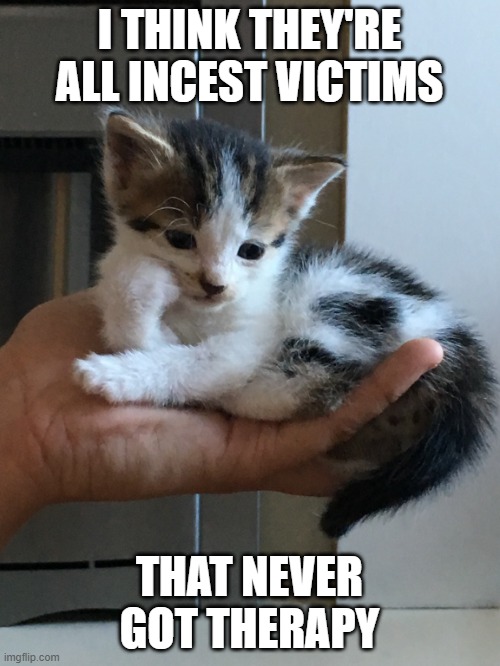 cynical-kitten | I THINK THEY'RE ALL INCEST VICTIMS THAT NEVER GOT THERAPY | image tagged in cynical-kitten | made w/ Imgflip meme maker