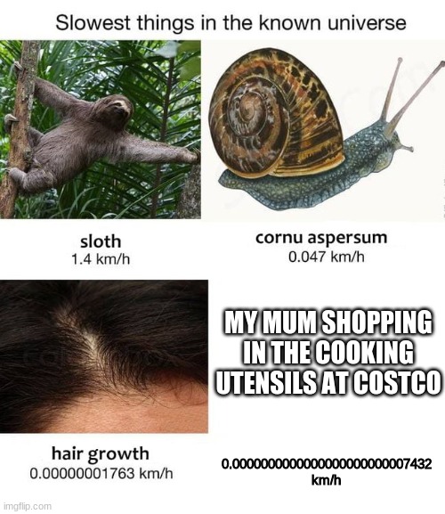 Slowest things | MY MUM SHOPPING IN THE COOKING UTENSILS AT COSTCO; 0.0000000000000000000000007432 km/h | image tagged in slowest things | made w/ Imgflip meme maker