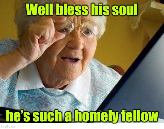 old lady at computer | Well bless his soul he’s such a homely fellow | image tagged in old lady at computer | made w/ Imgflip meme maker