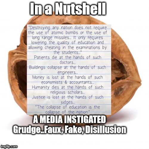 In a Nutshell | A MEDIA INSTIGATED Grudge..Faux, Fake, Disillusion | image tagged in biden,election,trump,evil,selection | made w/ Imgflip meme maker