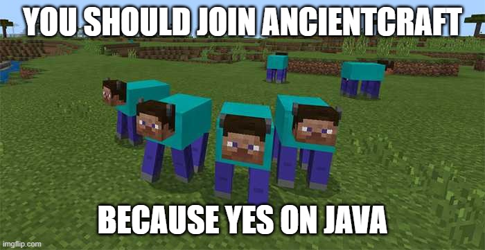 ancient.joinbedrock.net (its on java) | YOU SHOULD JOIN ANCIENTCRAFT; BECAUSE YES ON JAVA | image tagged in me and the boys | made w/ Imgflip meme maker