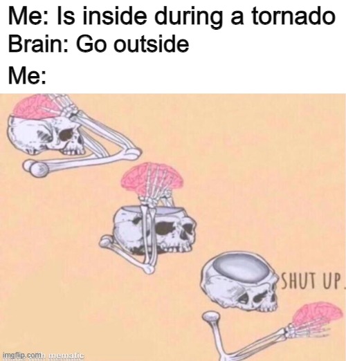 skeleton shut up meme | Me: Is inside during a tornado; Brain: Go outside; Me: | image tagged in skeleton shut up meme,memes | made w/ Imgflip meme maker