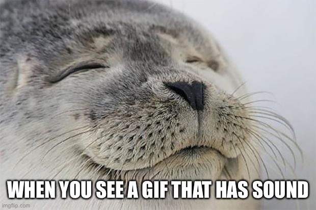 Satisfied Seal Meme | WHEN YOU SEE A GIF THAT HAS SOUND | image tagged in memes,satisfied seal | made w/ Imgflip meme maker