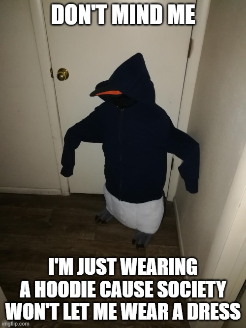 *sad transfem noises* | DON'T MIND ME; I'M JUST WEARING A HOODIE CAUSE SOCIETY WON'T LET ME WEAR A DRESS | image tagged in geoffrey | made w/ Imgflip meme maker