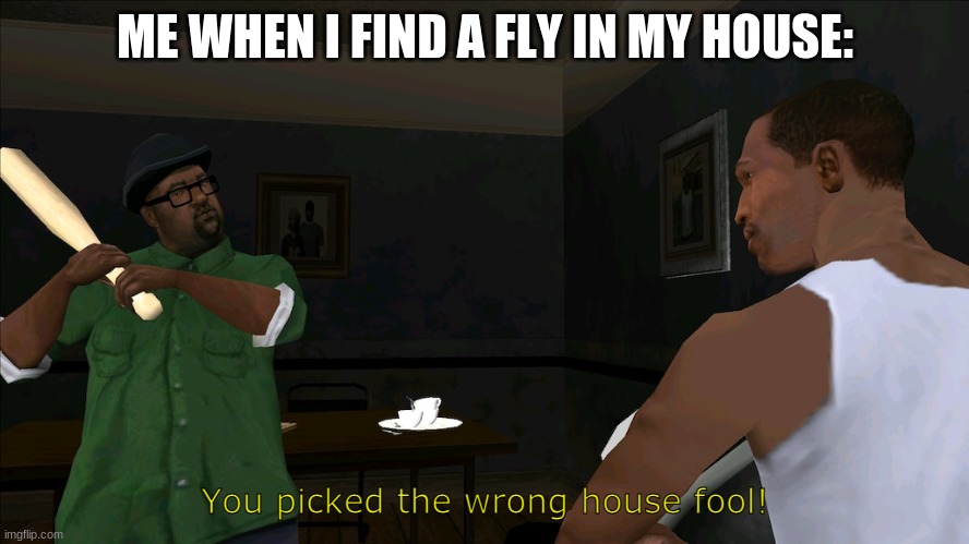 first meme in a while | ME WHEN I FIND A FLY IN MY HOUSE:; You picked the wrong house fool! | image tagged in you picked the wrong house fool | made w/ Imgflip meme maker
