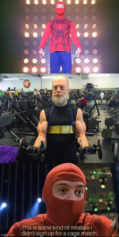 The Human Spider is so dead | image tagged in funny,memes | made w/ Imgflip meme maker