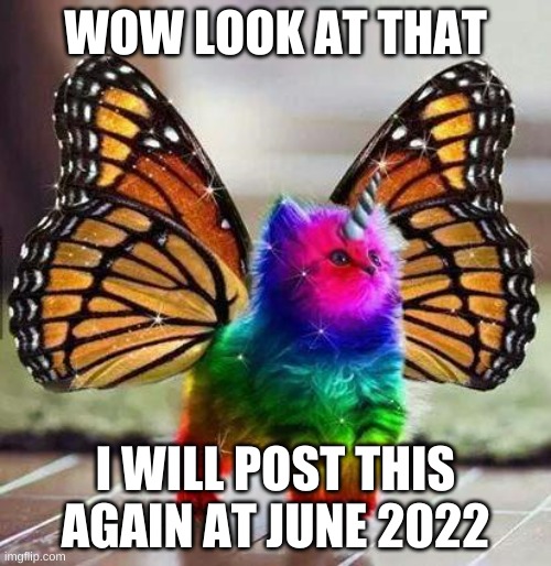 Rainbow unicorn butterfly kitten | WOW LOOK AT THAT; I WILL POST THIS AGAIN AT JUNE 2022 | image tagged in rainbow unicorn butterfly kitten | made w/ Imgflip meme maker
