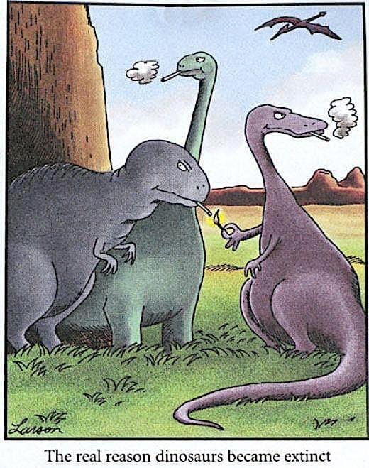 The real reason dinosaurs went extinct Blank Meme Template
