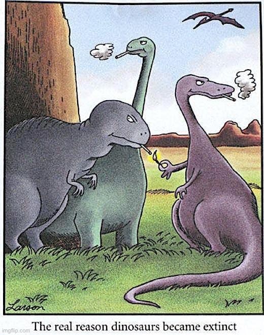 Just say no | image tagged in the real reason dinosaurs went extinct,repost | made w/ Imgflip meme maker
