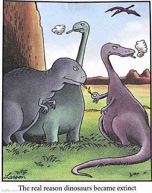 Just say no | image tagged in the real reason dinosaurs went extinct,repost,smoking,dinosaurs,dinosaur,no smoking | made w/ Imgflip meme maker