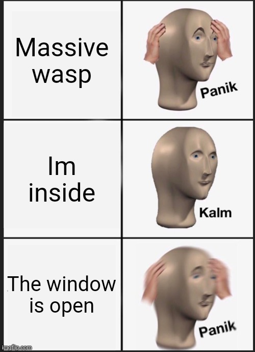 Panik Kalm Panik Meme | Massive wasp; Im inside; The window is open | image tagged in memes,panik kalm panik | made w/ Imgflip meme maker
