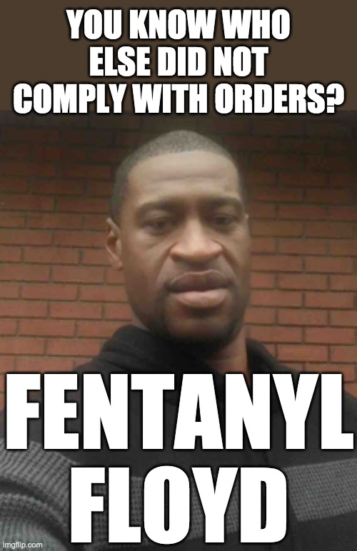 george floyd | YOU KNOW WHO
ELSE DID NOT
COMPLY WITH ORDERS? FENTANYL
FLOYD | image tagged in george floyd | made w/ Imgflip meme maker
