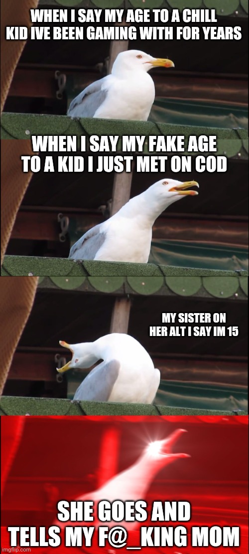 Me goes rage mode 1v1 on her, can anyone relate just a little bit??? | WHEN I SAY MY AGE TO A CHILL KID IVE BEEN GAMING WITH FOR YEARS; WHEN I SAY MY FAKE AGE TO A KID I JUST MET ON COD; MY SISTER ON HER ALT I SAY IM 15; SHE GOES AND TELLS MY F@_KING MOM | image tagged in memes,inhaling seagull | made w/ Imgflip meme maker