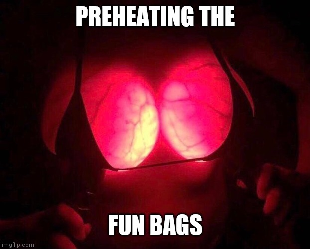 Fun bags | PREHEATING THE; FUN BAGS | image tagged in funny memes | made w/ Imgflip meme maker