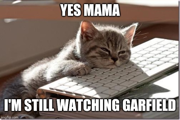 Bored Keyboard Cat | YES MAMA; I'M STILL WATCHING GARFIELD | image tagged in bored keyboard cat | made w/ Imgflip meme maker