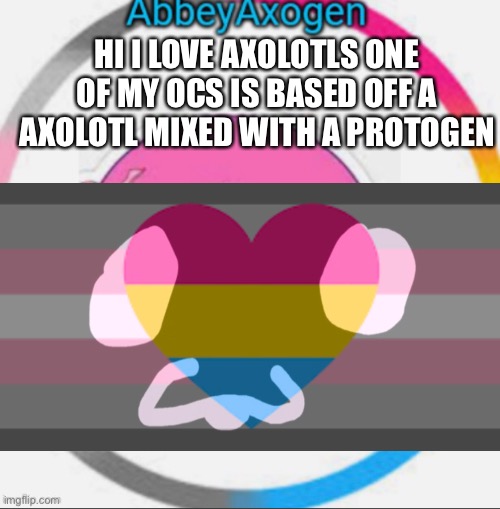 hello world |  HI I LOVE AXOLOTLS ONE OF MY OCS IS BASED OFF A AXOLOTL MIXED WITH A PROTOGEN | image tagged in hi,hello,hello there,axolotl | made w/ Imgflip meme maker