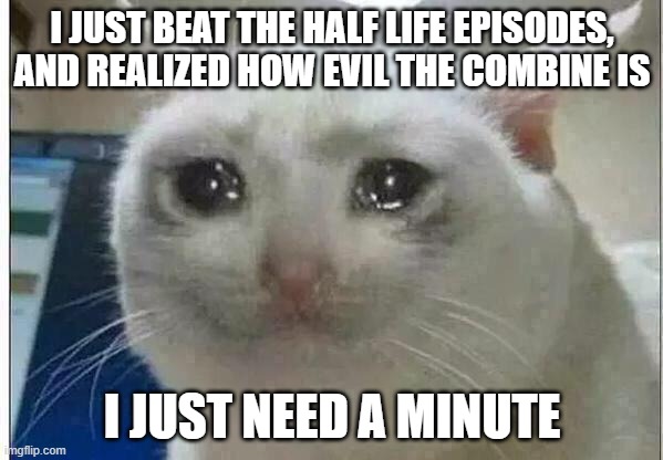 the combine depresses me | I JUST BEAT THE HALF LIFE EPISODES, AND REALIZED HOW EVIL THE COMBINE IS; I JUST NEED A MINUTE | image tagged in crying cat,half life | made w/ Imgflip meme maker