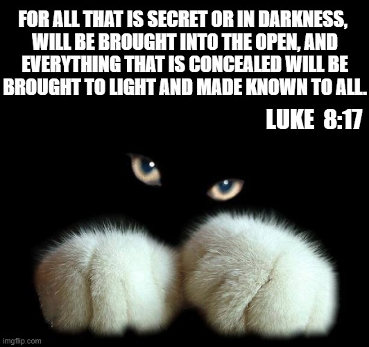 cat in dark | FOR ALL THAT IS SECRET OR IN DARKNESS, 
WILL BE BROUGHT INTO THE OPEN, AND
EVERYTHING THAT IS CONCEALED WILL BE
BROUGHT TO LIGHT AND MADE KNOWN TO ALL. LUKE  8:17 | image tagged in spiritual meme,secret,darkness,light,luke,open | made w/ Imgflip meme maker