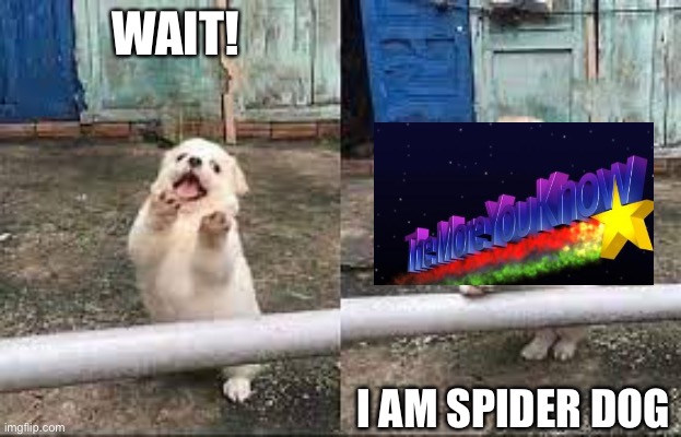 I am speechless | WAIT! I AM SPIDER DOG | image tagged in wait stop scrolling | made w/ Imgflip meme maker