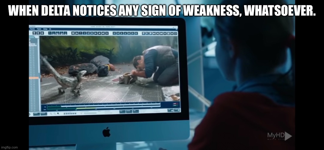 Delta | WHEN DELTA NOTICES ANY SIGN OF WEAKNESS, WHATSOEVER. | image tagged in jurassic world,velociraptor | made w/ Imgflip meme maker