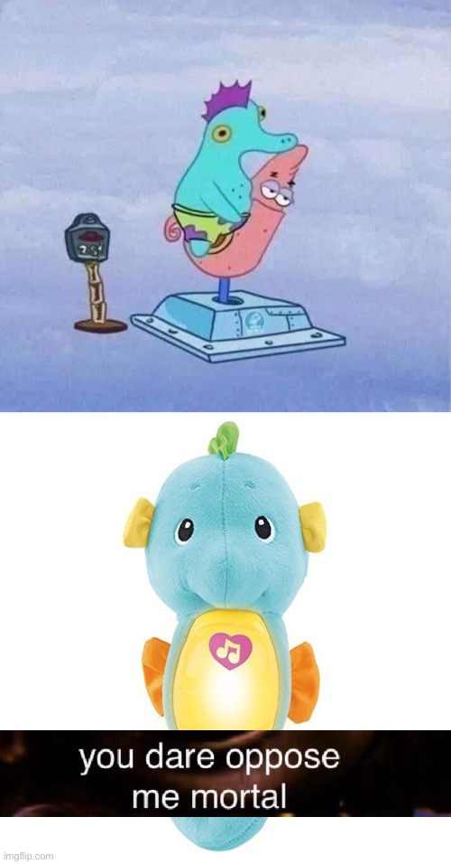 you dare oppose me mortal | image tagged in seahorse riding patrick,seahorse,patrick star,patrick,uh oh,you dare oppose me mortal | made w/ Imgflip meme maker