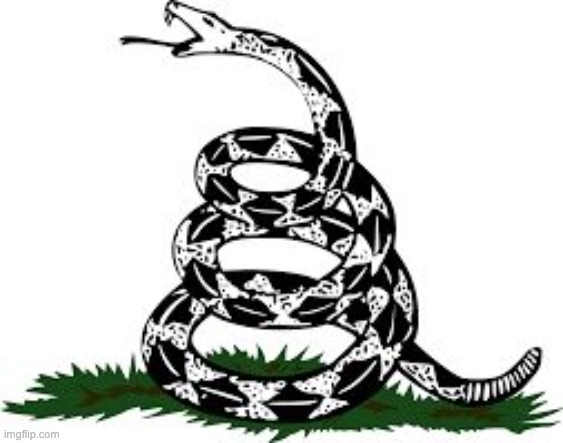 Don't Tread On Me | image tagged in don't tread on me | made w/ Imgflip meme maker