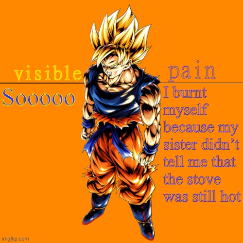 bob | I burnt myself because my sister didn’t tell me that the stove was still hot; Sooooo | image tagged in vpssjgoku template | made w/ Imgflip meme maker