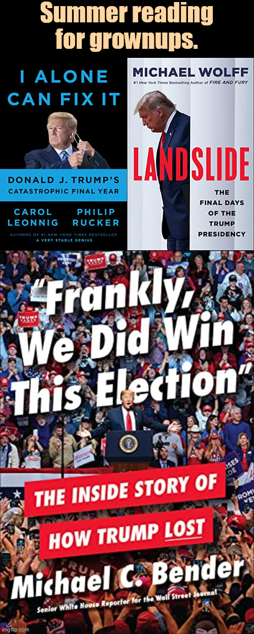 Trump got tossed out of 65 courtrooms because he couldn't produce any evidence of voter fraud. | Summer reading for grownups. | image tagged in trump,loser,failure,books,facts,information | made w/ Imgflip meme maker