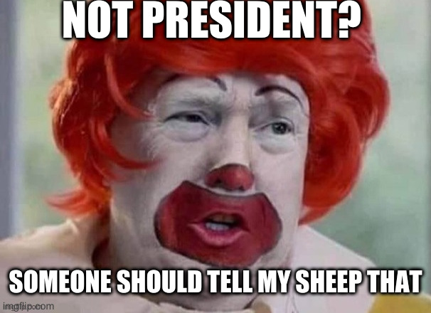 clown T | NOT PRESIDENT? SOMEONE SHOULD TELL MY SHEEP THAT | image tagged in clown t | made w/ Imgflip meme maker