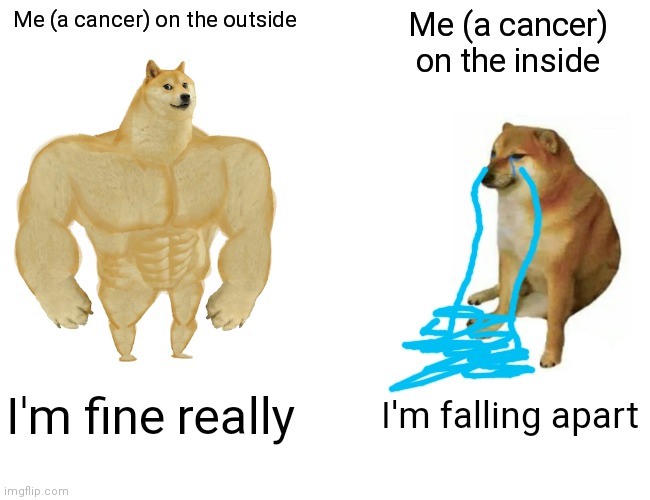 Buff Doge vs. Cheems | Me (a cancer) on the outside; Me (a cancer) on the inside; I'm fine really; I'm falling apart | image tagged in memes,buff doge vs cheems | made w/ Imgflip meme maker