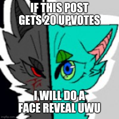 RetroFurry Announcement Template | IF THIS POST GETS 20 UPVOTES; I WILL DO A FACE REVEAL UWU | image tagged in retrofurry announcement template,furry | made w/ Imgflip meme maker