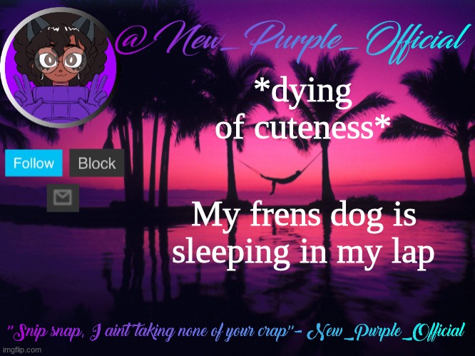 I CANT- ITS TOO CUTE | *dying of cuteness*; My frens dog is sleeping in my lap | image tagged in purple's announcement temp 3 | made w/ Imgflip meme maker